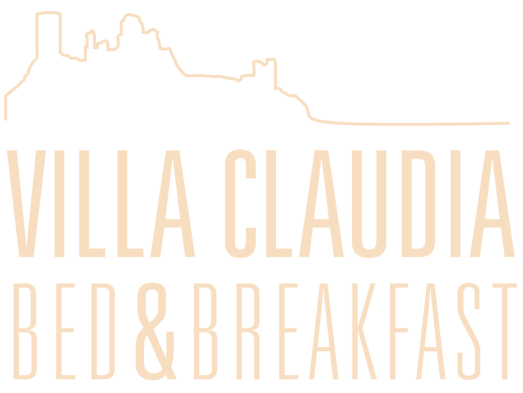 Villa_logo Villa_logo